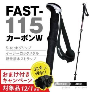FAST-115 ܥW