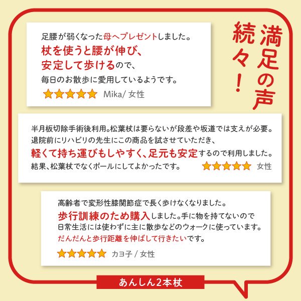 あんしん2本杖（SINANO）｜転倒予防・リハビリに2本の杖で安定歩行 ふらつきが気になる方や猫背の改善にもおすすめ