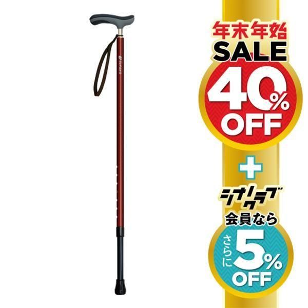 抗ウイルス楽ーダ+(プラス)