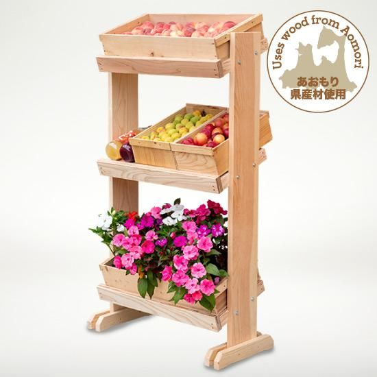 桑小卓 組立式 棚 茶道具 紙箱 楽天市場】【茶器/茶道具 お棚】 桑小卓 仙叟好写し 小林幸斎作