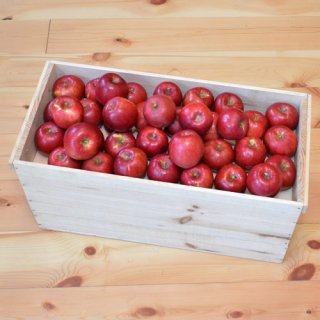 紅玉りんご入り18-20kg（112-128玉）大箱新箱（フタ付き粗仕上げ取手付き）（送料無料※沖縄県は別途980円）※11月以降はかなり軟らかくなり加工用途ですが生食も可能です。