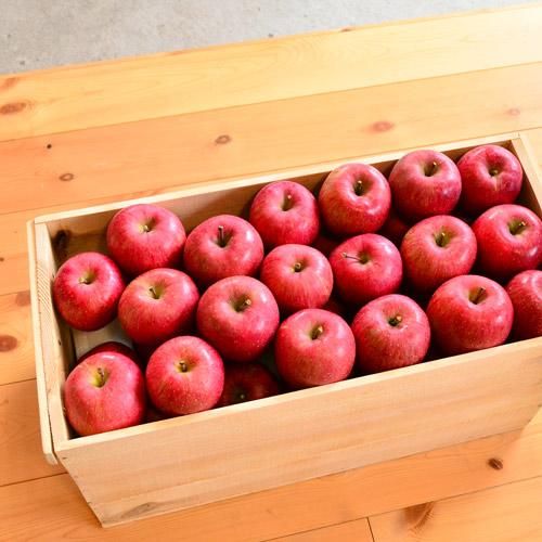 ⭐️アメリカンカントリー雑貨♥サンタさんからの贈り物☆ෆ