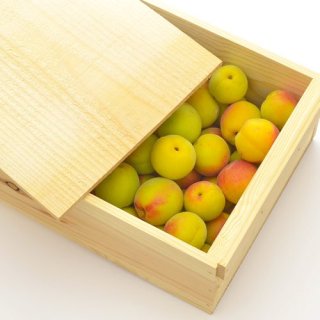 （冷蔵）フタ付き粗仕上げ木箱入り完熟梅（豊後梅の黄熟梅）約１ｋｇサイズ中玉以上混合