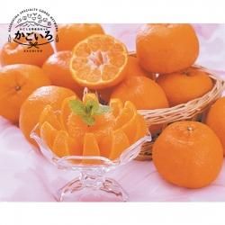 ͽ桪۲ݤ󤫤ʣkg<ơǤ餸>