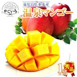 ͽ۲ޥ󥴡ʣkg