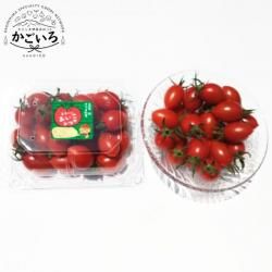 ե롼ĥȥޥȡȾͰñݡ