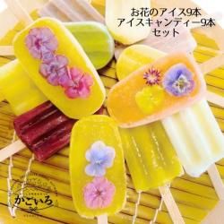 ֤Υ9ܡǥ9ܥåȡ㤿䤭寤