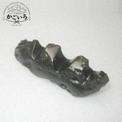 縧ɮ֤ʣɮѡˡ㲰ŷ̿Ʋ