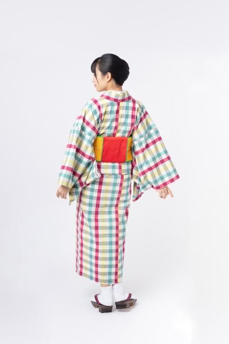 ☆日本製☆臼井織布製！限定1枚！伊勢木綿着物☆職人謹製織☆Fサイズ☆伊勢木綿☆ h-hanbai-momen-a0053-01.jpg?