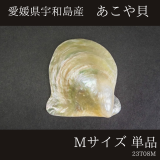 <img class='new_mark_img1' src='https://img.shop-pro.jp/img/new/icons62.gif' style='border:none;display:inline;margin:0px;padding:0px;width:auto;' />᤭䳭M1