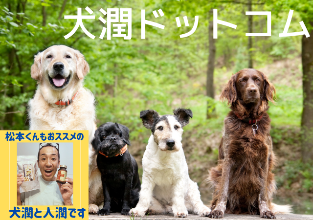 犬潤ドットコム
