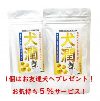 犬潤 65g 2個セット 大事な家族のワンちゃんや猫ちゃんを元気な姿へ 介護が必要なシニア犬 シニア猫用コラーゲン配合サプリメント