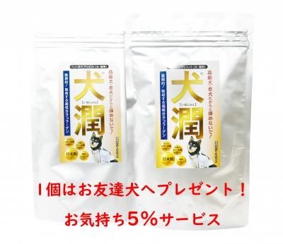 ワンズ☆アップ サプリ2セットx2