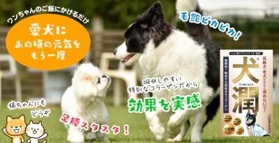 どりちゃん様30mlウォルナットと30mlのクラブアップルとレスキュー Amazon.co.jp: アンドグラッド 叫ぶ! びくっりチキン Lサイズ