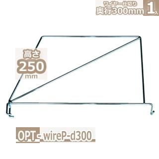 󥰥å ץ 磻䡼ڤ D300