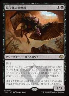 JP۴׹廡/Sinkhole Surveyor[TDM][](93)