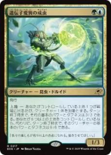 JP۰Ѱۤ/Genemorph Imago[EOE][](217)