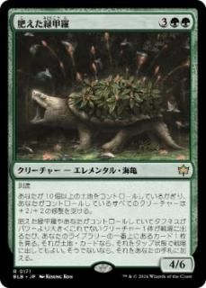 JPй/Fecund Greenshell[BLB][](171)