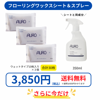 12/25ޤǡۥ饤󥷥å׸!!̵ǯݽʥåȡ