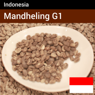 ޥǥ G1