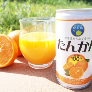 〈屋久島ふれあい食品〉果汁100％たんかんストレートジュース12缶セット