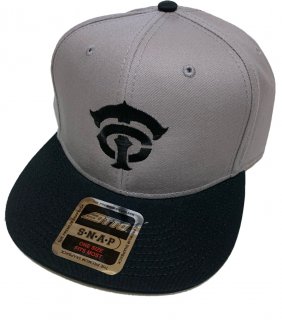 CTBB Logo snap back cap