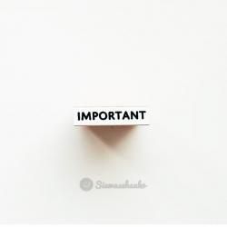 IMPORTASNT