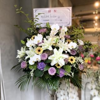 ں۸˥ɲ֡1ʡ˿ޤ