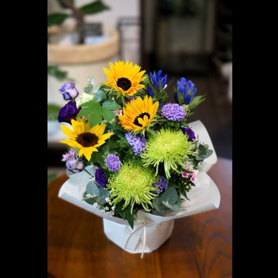 子供お花 SR 子供お花 SR 子供お花 SR Amazon.co.jp: ゼクス Z/X ZX SRH HSR 杳
