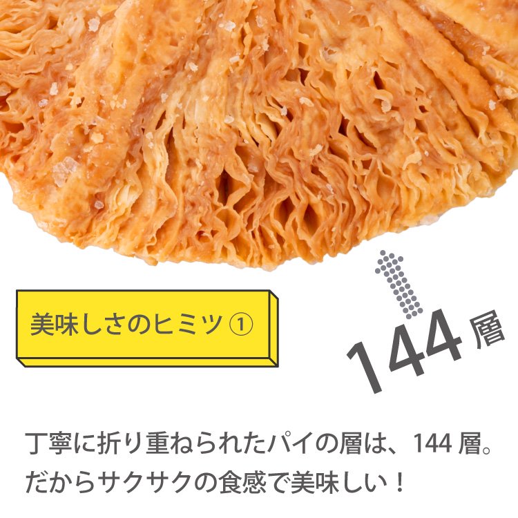 長岡銘菓 夏花火パイ22枚入 「長岡の大花火」の正三尺玉をかたどった花火パイ ガトウ専科