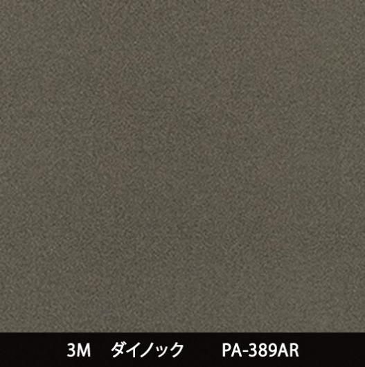 PA-389AR ˶