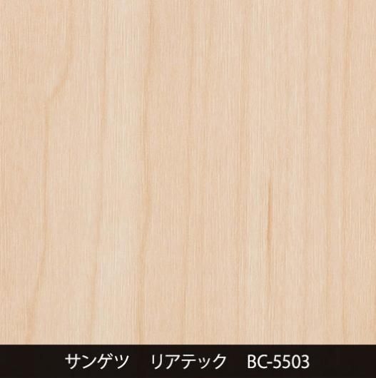 BC-5503ڵ졧TC-4220