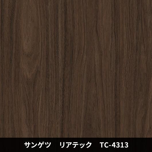 TC-4313