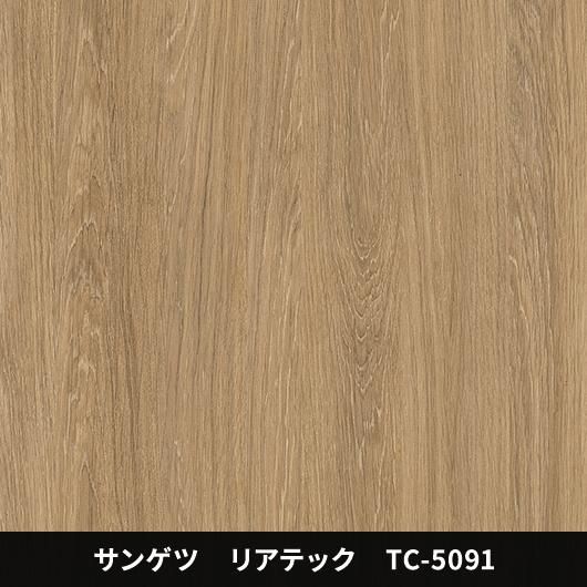 TC-5091ݡɥ