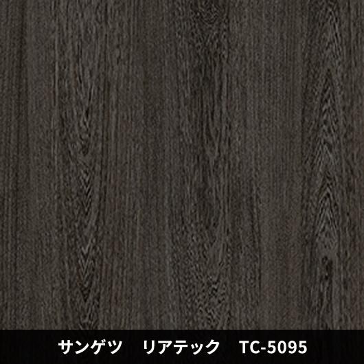 TC-5095ݡɥ