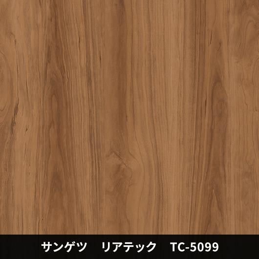 TC-5099ݡɥ