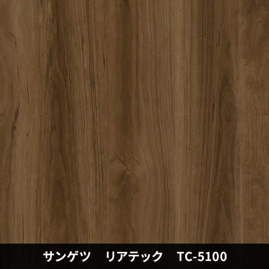 TC-5100ݡɥ