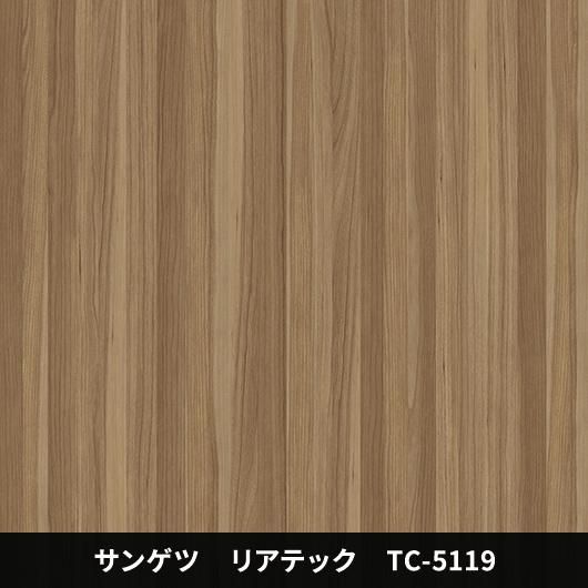 TC-5119ݡɥ