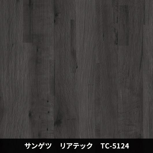 TC-5124ݡɥ