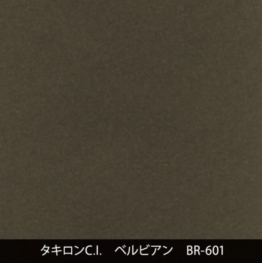 BR-601