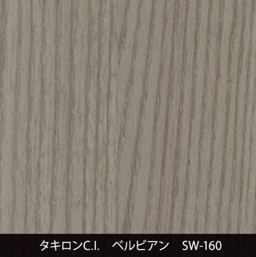 SW-160˼夤