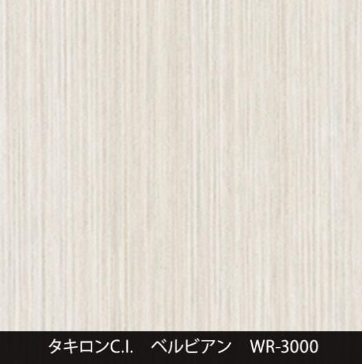 WR-3000˼夤
