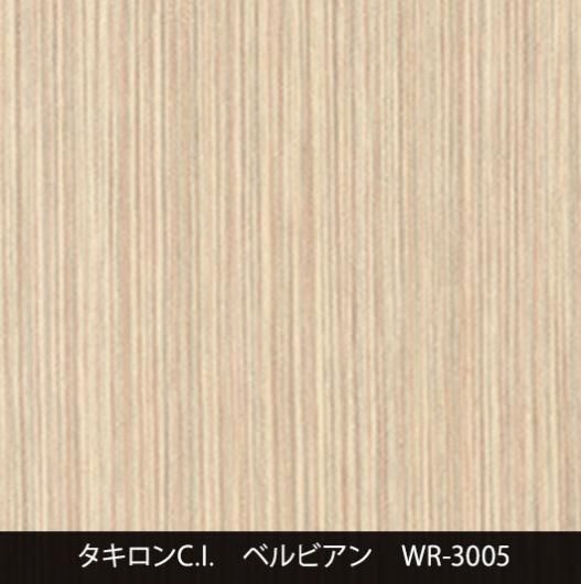 WR-3005˼夤