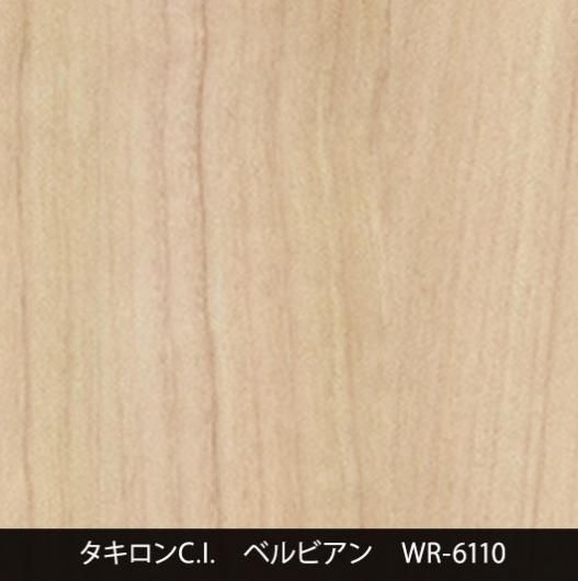 WR-6110˼夤