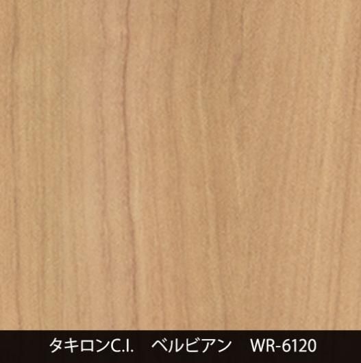 WR-6120˼夤
