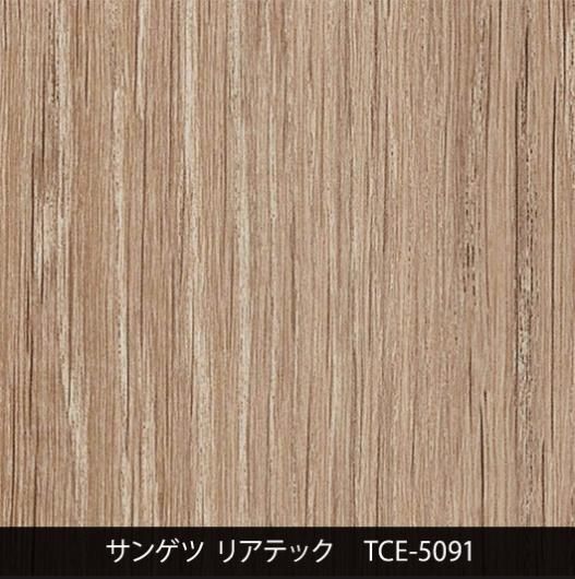 TCE-5091Ѹ