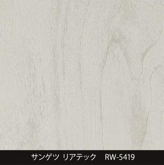 RW-5419