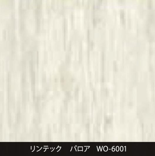 ڷWO-6001ݡɥ