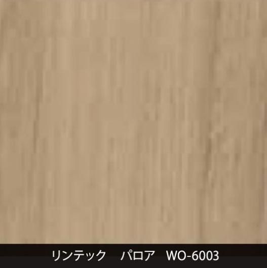 WO-6003ݡɥ