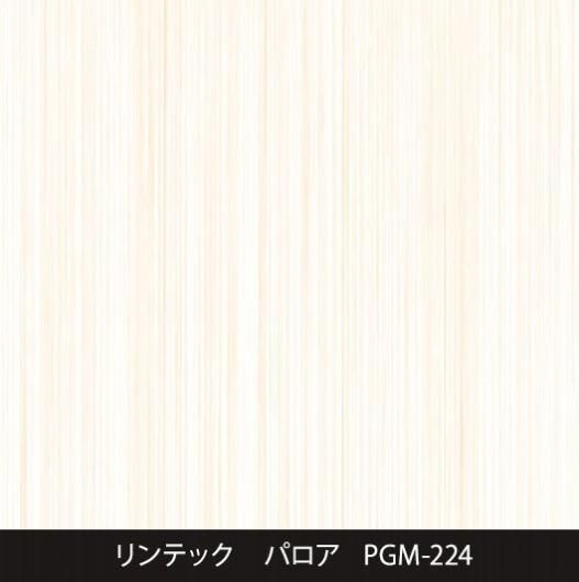 PGM-224ݡɥ